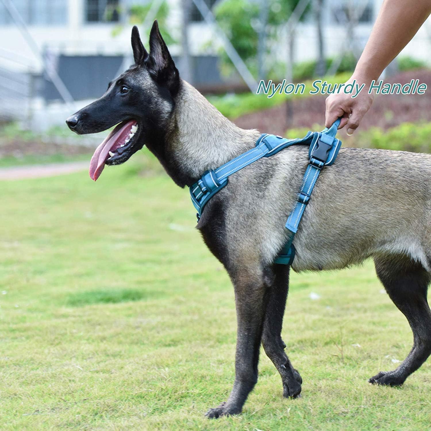 Louvra Large Dog Harness Blue Safety Reflective No Pulling Dog Harness with Handle Adjustable Heavy Duty Chest and Back D Rings Pet Vest Harness for Large Dog Running Walking(Blue,L) - Image 5