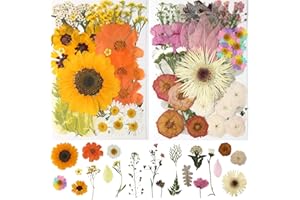 FLYEKIST 100Pcs Dried Pressed Flowers for Resin,Real Pressed Flowers Mixed Colorful Daisy Dry Leaves Kit for Scrapbooking DIY Art Crafts Jewelry Making Soap Candle Nails Decor