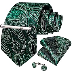 DiBanGu Silk Paisley Ties for Men Woven Necktie and