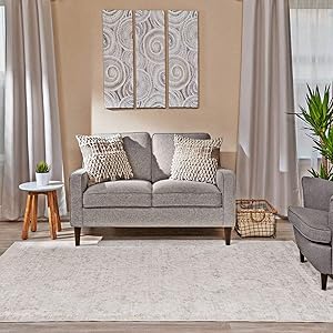 Ophanie Modern Boho Chic Area Rug Carpet, Thick Area Rugs for Living Room, Bedroom, Home Office, 5' x 8', Beige/Grey