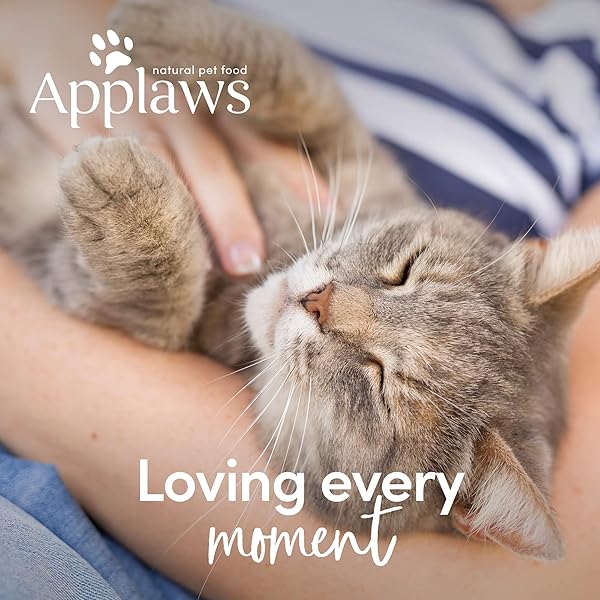 APPLAWS WET CAT FOOD, 12 PACK, LIMITED INGREDIENT WET CAT FOOD POUCHES, CHICKEN IN BROTH, 12 X 5.3OZ POUCHES