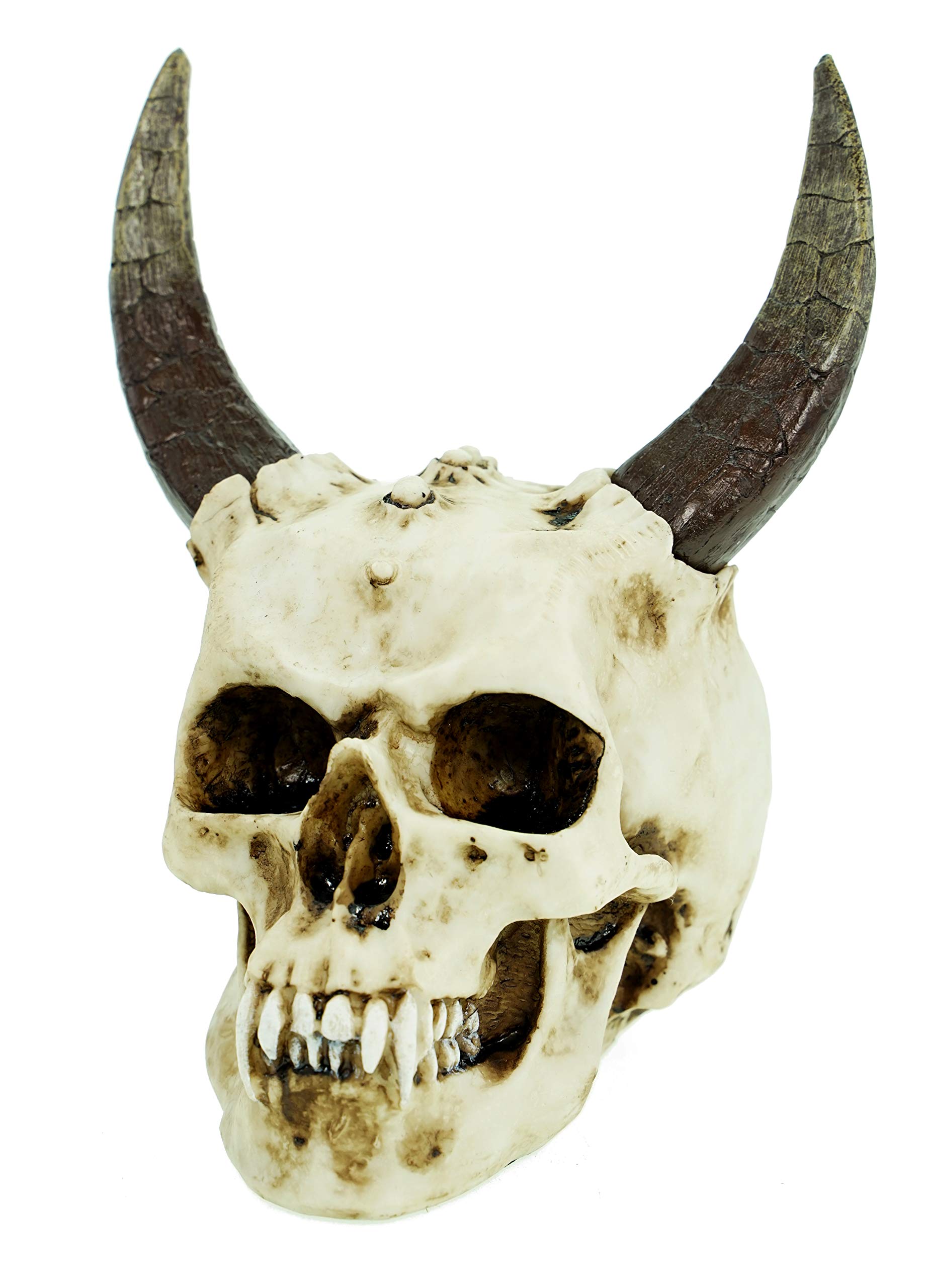 Devil's Skull with Horns