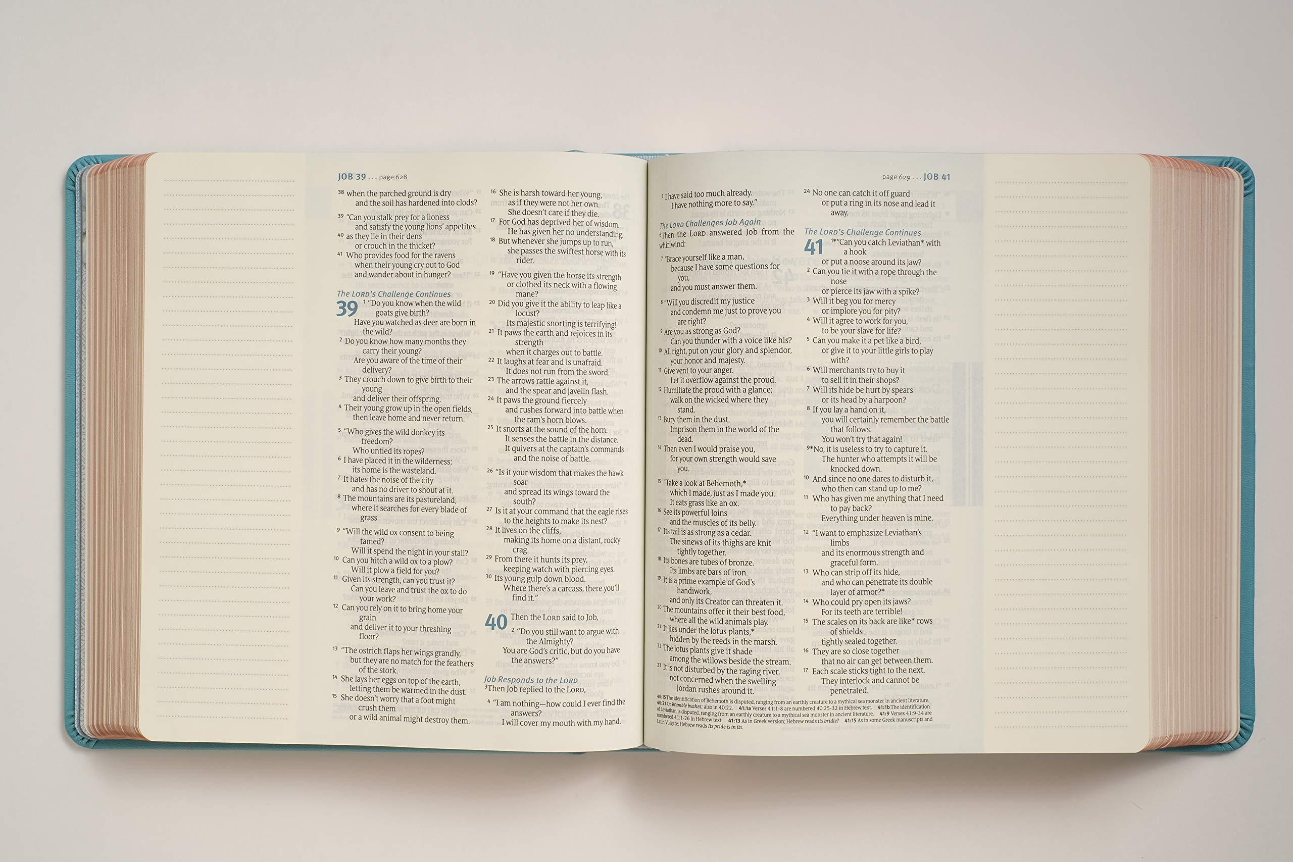 NLT THRIVE Creative Journaling Devotional Bible (Hardcover LeatherLike, Teal Blue with Rose Gold) NLT THRIVE Creative Journaling Devotional Bible (Hardcover LeatherLike, Teal Blue with Rose Gold) Imitation Leather