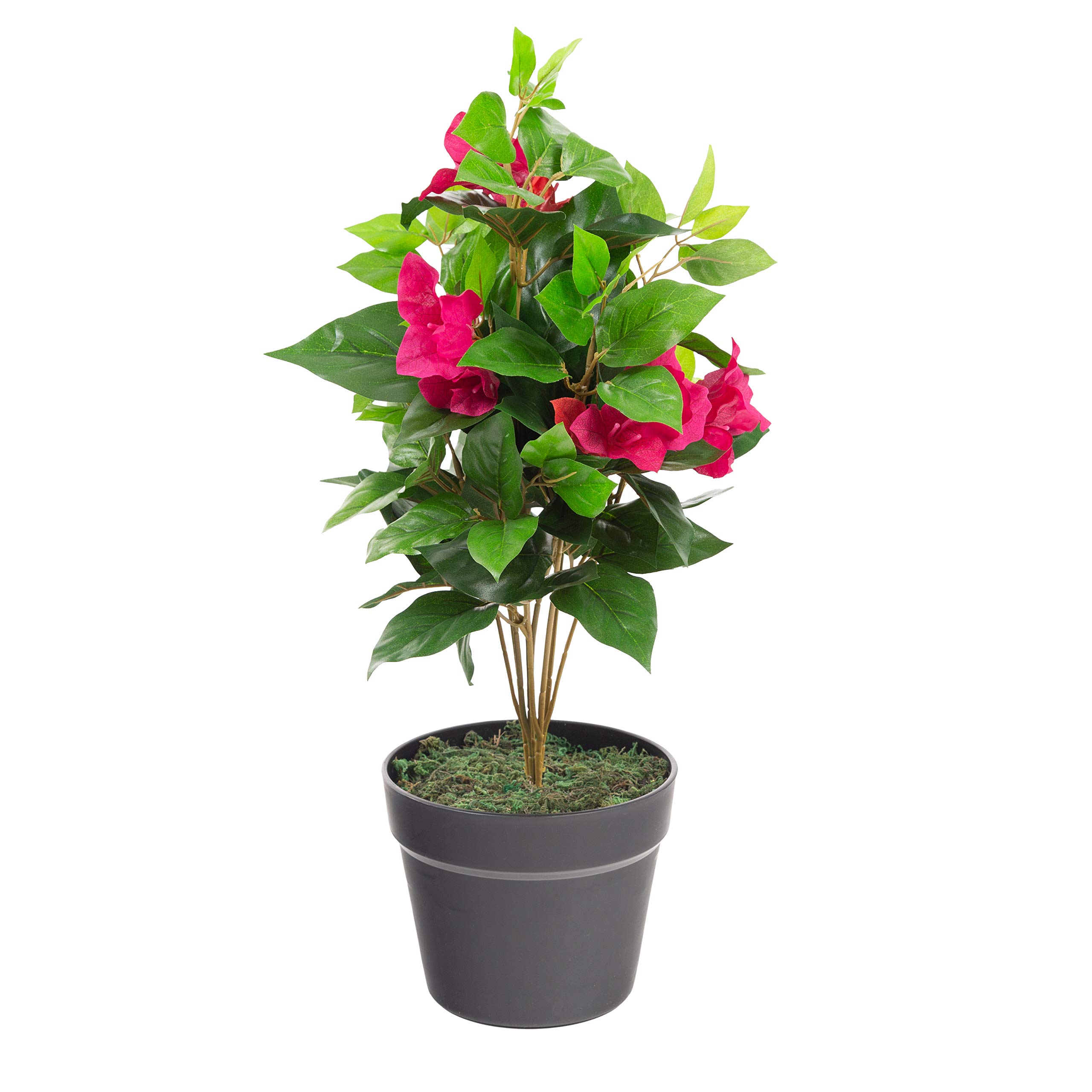 Closer2Nature Artificial Plant - 1ft 9'' Pink Bougainvillea Plant; Perfect Indoor Plant and Outdoor Plants with Decorative Fake Flowers, Tall Artificial Plants Blossom Tree with Plastic Pot