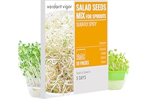 Verdant Vigor Sprouting Seeds, Salad Blend Variety, Non-GMO Microgreens Sprouts Seed Mix, Broccoli, Alfalfa, Clover, Daikon, Grow Fresh Vegetables at Home, 10 Premeasured Packs, 8oz