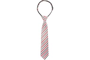 Spring Notion Boys' Pre-tied Woven Zipper Tie
