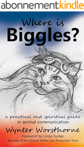 Download Where is Biggles? (English Edition) PDF