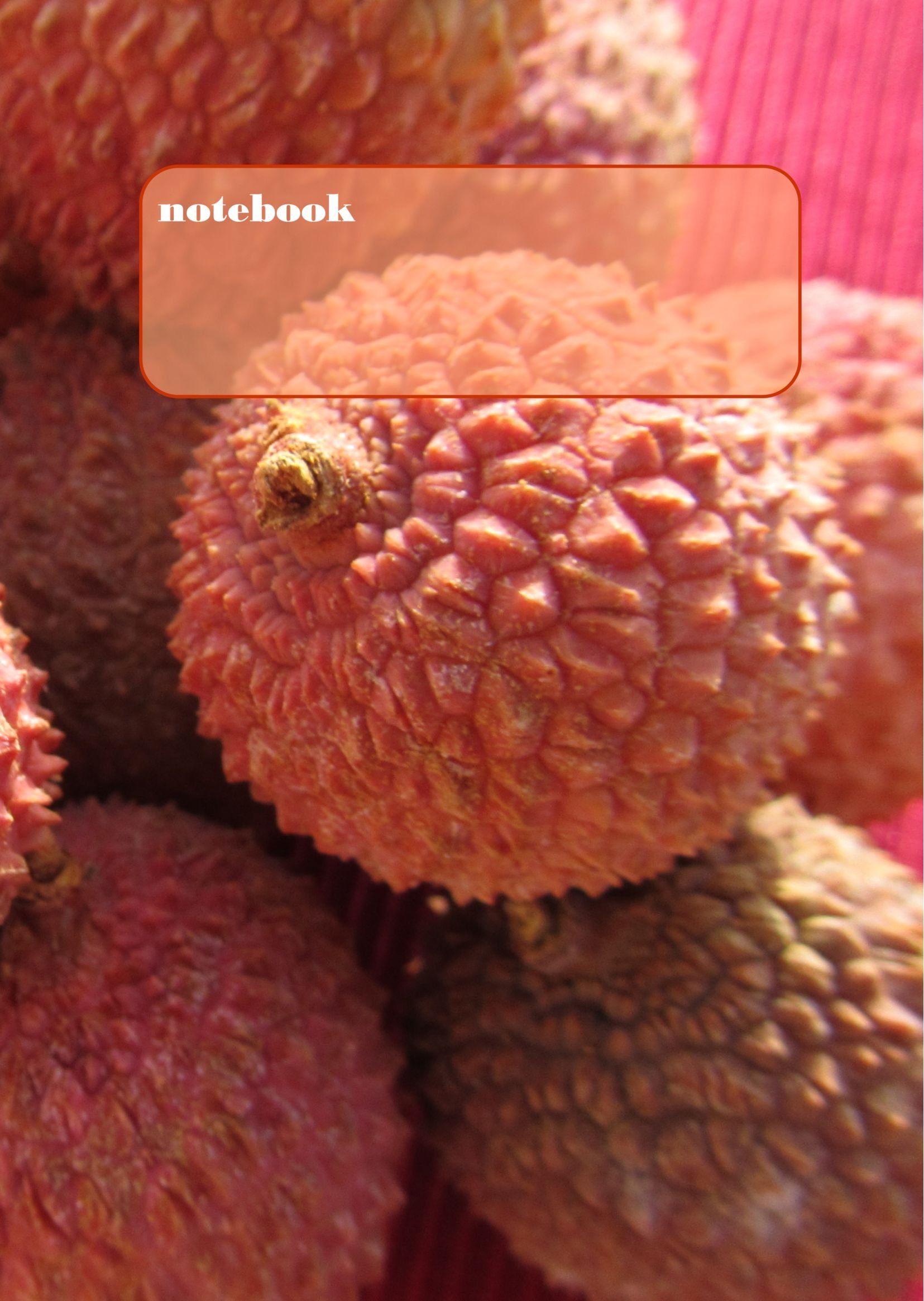 Tagebuch / Notizbuch - Litschi: DIN A4, liniert