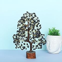 YUVDIPR Black Tourmaline Tree of Life of Life