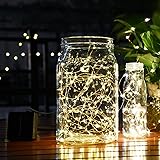 My Party Suppliers 3 AA Battery Operated Decorative Color Changing Copper LED Fairy Lights, 10 Meter