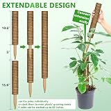 Remiawy Moss Pole 173 cm 6 Pack Coir Totem Garden Climbing Support view 4