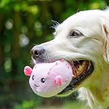 Petface Planet Pippa Puffa Fish Plush Toy for Dogs Eco Friendly view 5