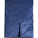 david's kids Micro Fleece Minky Baby Blanket for Boys Girls Neutral with Double Layer and Soothing Raised Dots, 40x50 Inches Breathable and Soft Lightweight Receiving Blanket for Newborns, Navy Blue