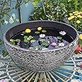 Sungmor Ash Black Resin Outdoor Low Bowl Planter Bird Bath 15.6 Inch Water Lily Succulent Pots Small Fountain Base