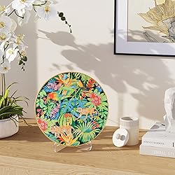 Dooiclear 5 Pack Acrylic Display Stand, Plate Stand