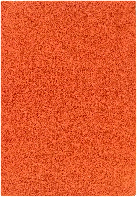 Shaggy Trendy Teppich Basic 170 100 Pp Gewicht Circa 2200 G M Florhohe Circa 40 Mm 60 X 110 Cm Orange Amazon De Kuche Haushalt