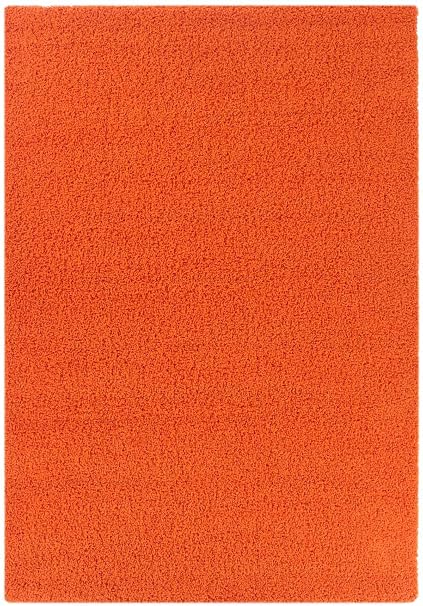 Shaggy Trendy Teppich Basic 170 100 Pp Gewicht Circa 2200 G M