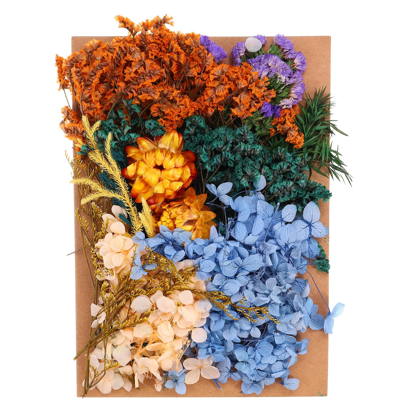 PATIKIL Pressed Flowers for Craft, Bulk Dried Flowers Natural Pressed Flowers Leaves for Resin Soap Candle Scrapbooking DIY Gift Papermaking, Assorted Color