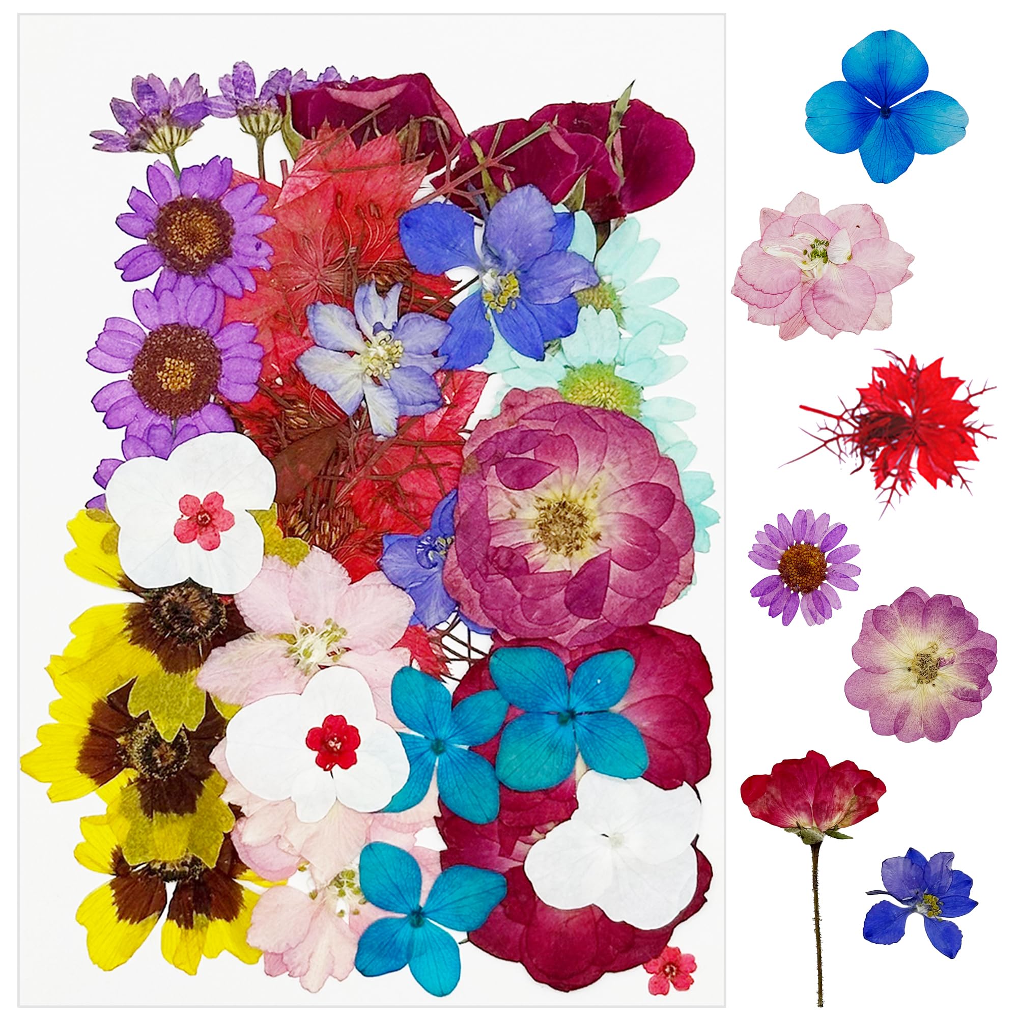 Cayway 36 PCS Dried Pressed Flowers for Resin, Mixed Color Real Pressed Flowers Dry Leaves Kit Natural Dried Pressed Leaves for Art Crafts Resin Scrapbook Supplies Soap Candle DIY