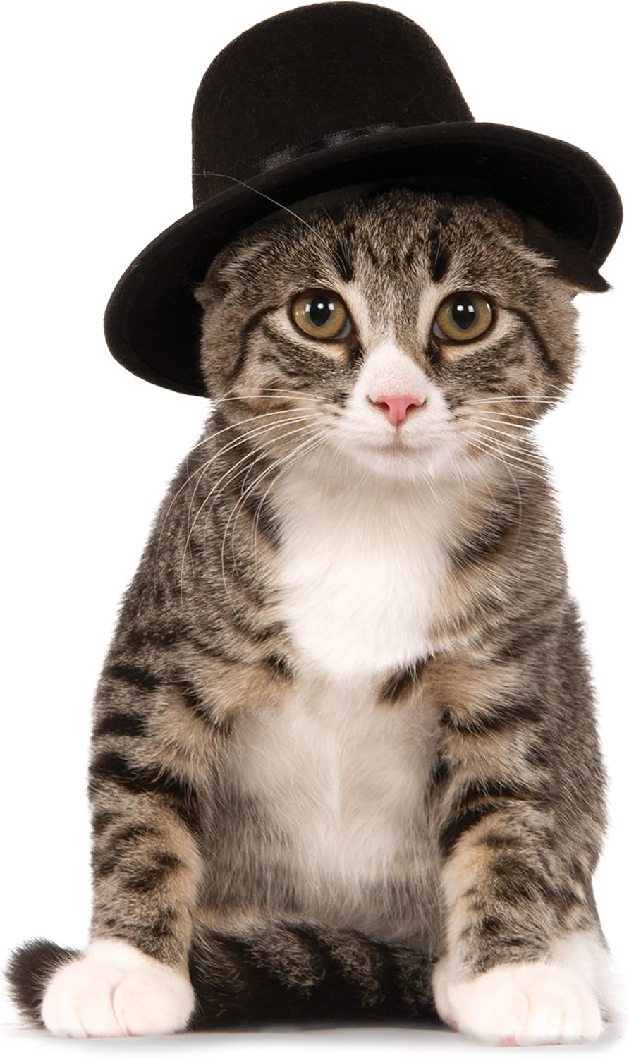 Rubie's Top Hat for Your Pet, Medium/Large : Pet Supplies