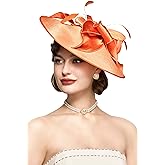 BABEYOND Derby Hats for Women - Fascinators Tea Party Hats Headband Wide Brim Fascinator Wedding Cocktail Flower Feathers