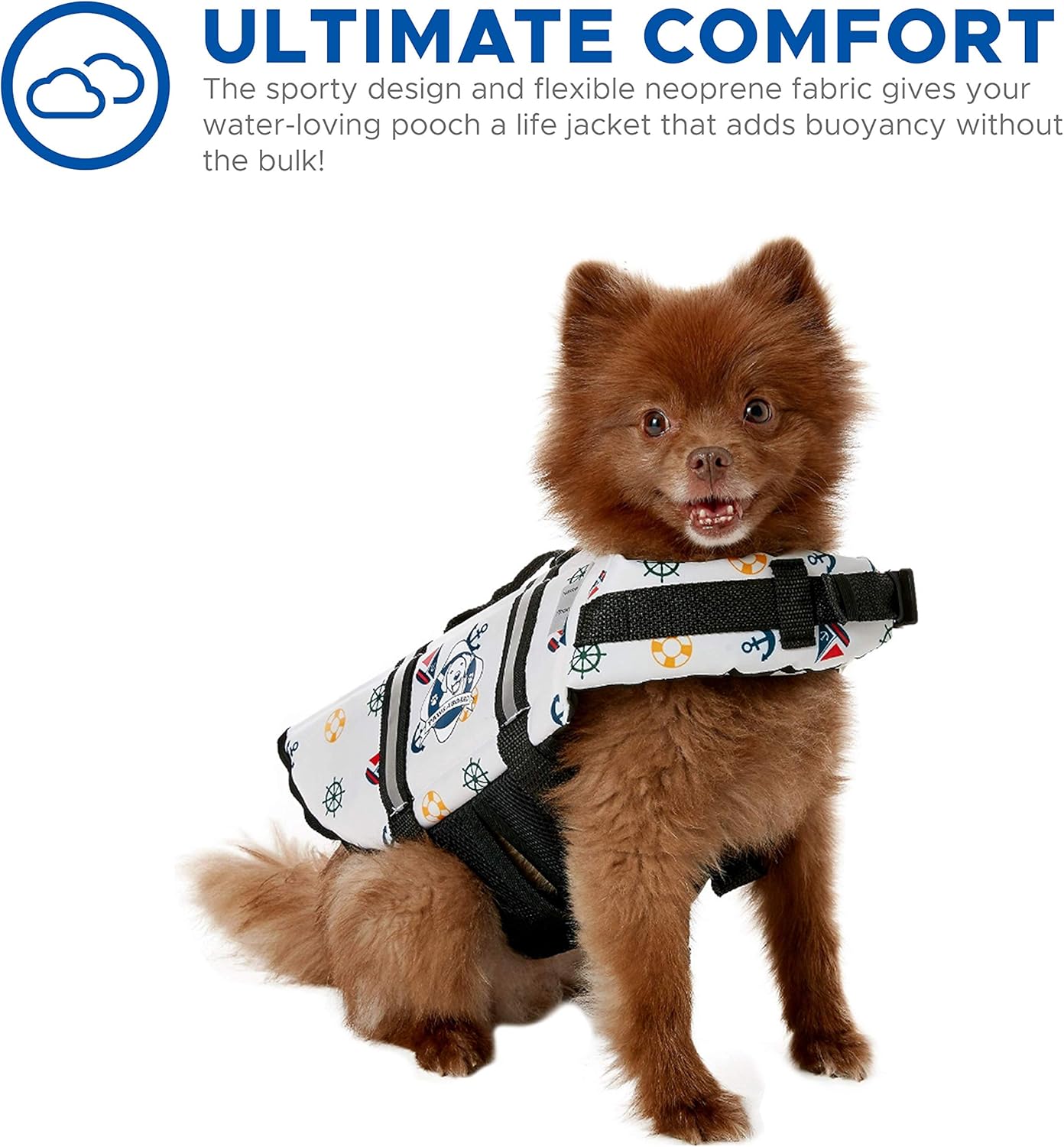 tiny dog life jacket