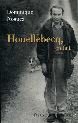 Download Houellebecq, en fait (Littérature Française) PDF