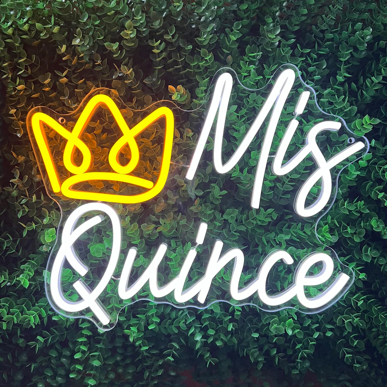 Photo 1 of Mis Quince Neon Sign, LED Mis Quinceanera Neon Sign with Crown, Dimmable Mis Xv Neon Sign Light, Mis 15 Años Letrero Quinceanera Decorations for 15th Birthday Party Girl Kid Christmas Wall Decor