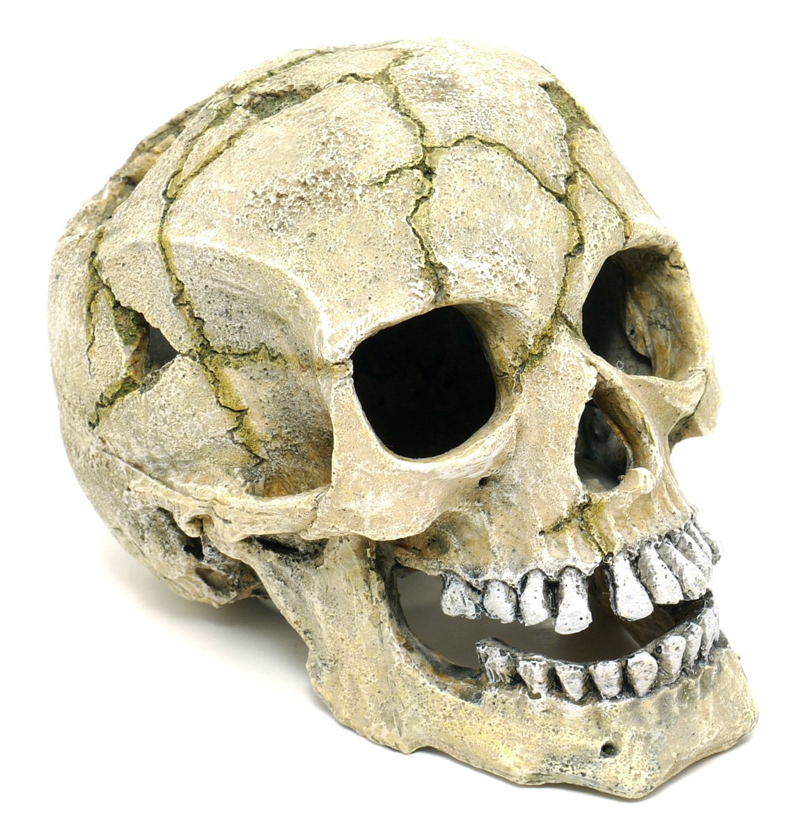CLASSIC Polyresin Cracked Skull 20.5cm 750g