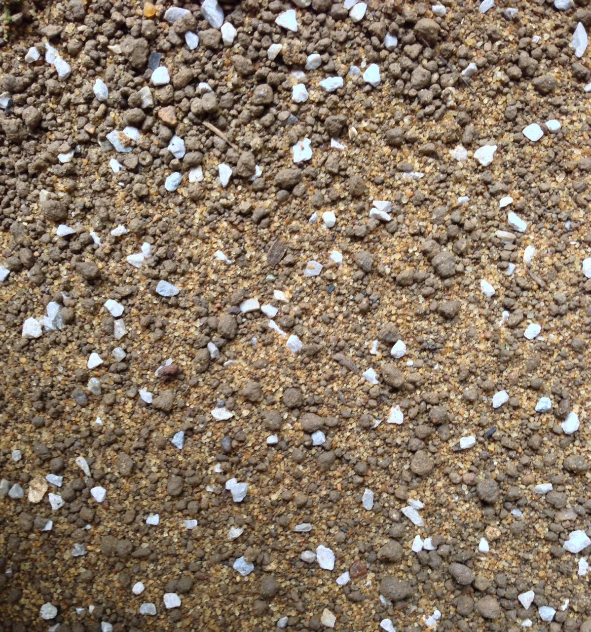 Pettex Reptile Substrate Tortoise Soil Bedding 10 L eBay