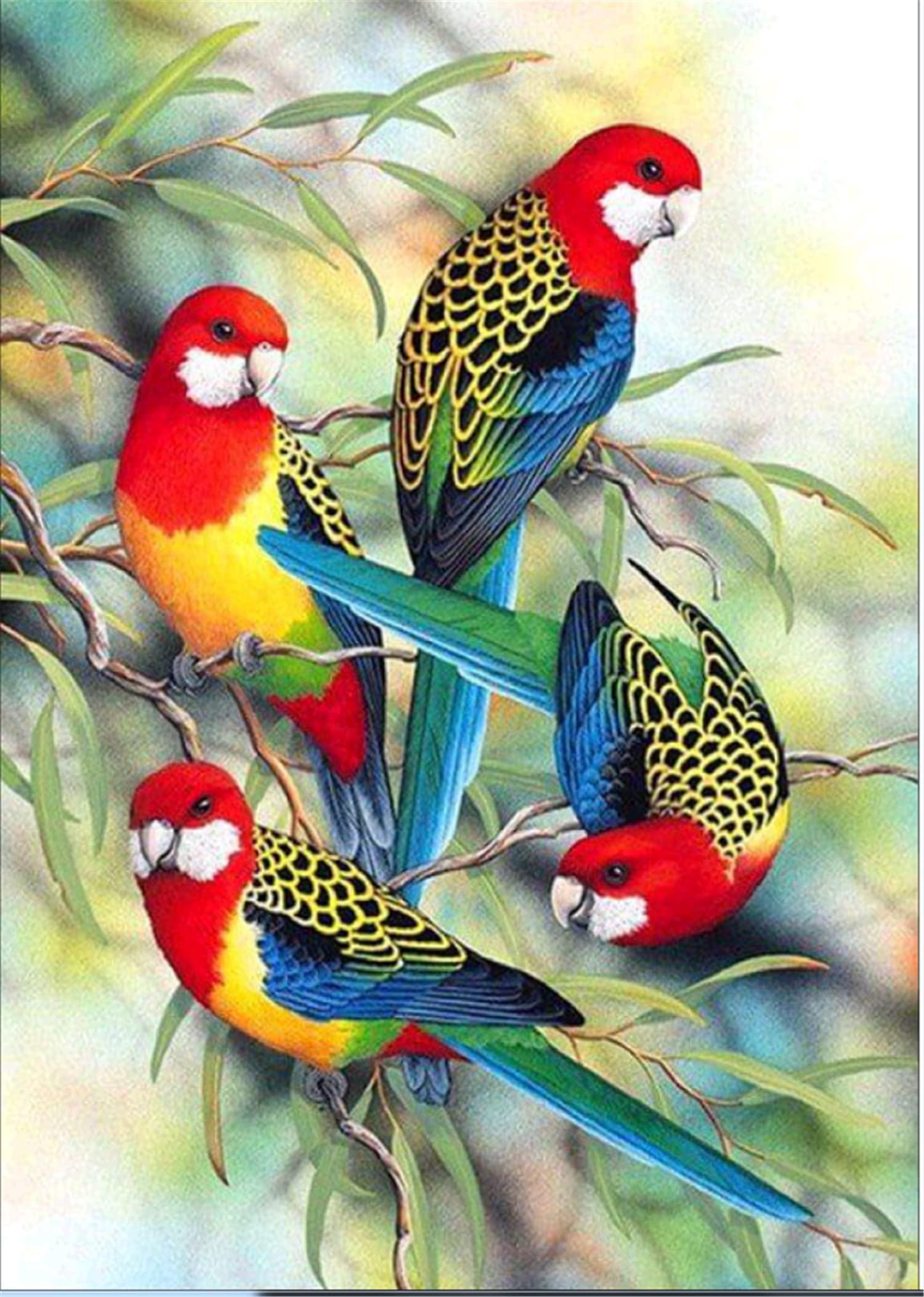 Cross Stitch Kits Stamped, OWN4B Birds on Branch Printed Pattern 11CT 14.2x18.1 inch DIY Embroidery Kit (Birds)