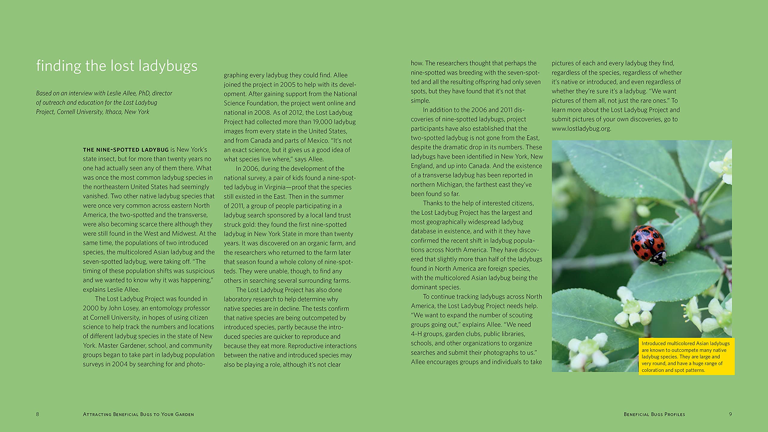 Attracting Beneficial Bugs to Your Garden, Revised and Updated Second Edition: A Natural Approach to Pest Control