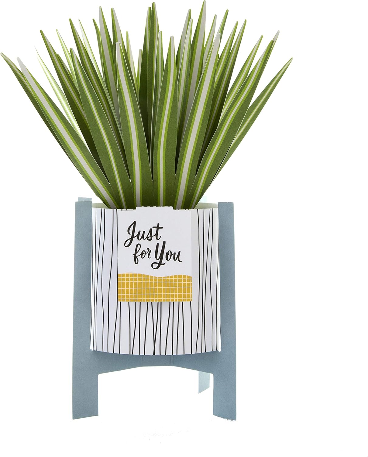 Hallmark Pop Up Card - Contemporary Spider Plant Design, General 3D Spider Plant, 16.5 cm by 13.7 cm - Image 3