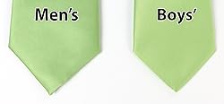 Spring Notion Boys' Satin Zipper Necktie with Gift