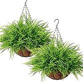KHOYIME Artificial Hanging Plants with Basket 2PCS Fake Boston Fern Baskets, Outdoor Faux Greenery Stems Hanging Decor UV Resistant Indoor Outside Decorations for Home Garden Porch Balcony Patio Yard