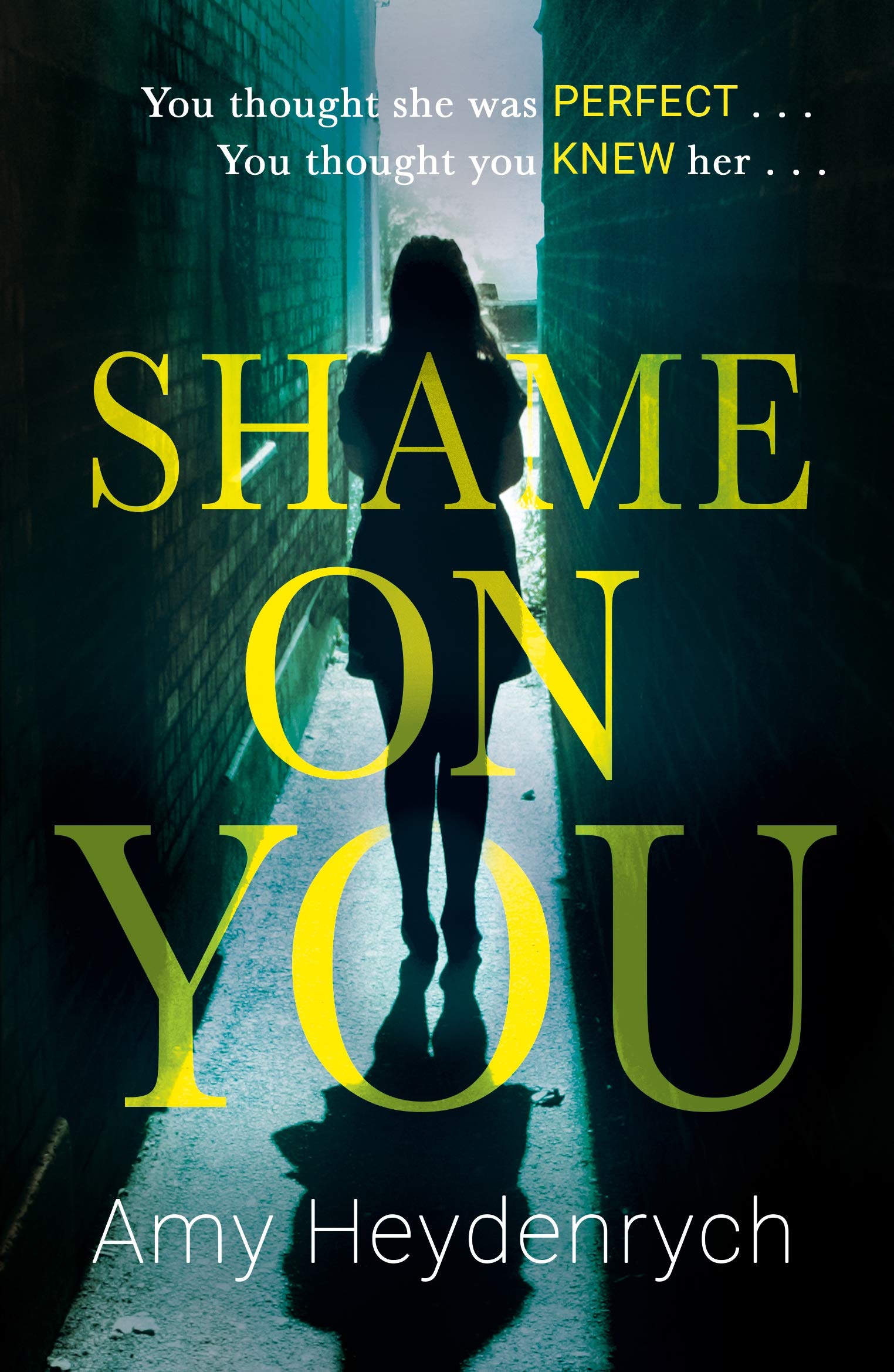[- Shame on You: The addictive psychological thriller that will make you question everything you re