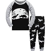 Popshion Little Boys Pajamas Sets Glow in Dark Dinosaur 100% Cotton 2 Piece Toddler Clothes Kids Pjs Sleepwear Size 2-10T