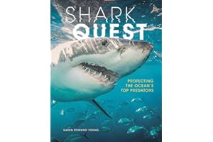 Shark Quest: Protecting the Ocean's Top Predators
