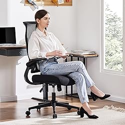 SMUG Ergonomic Office Desk Computer Chair,Comfy