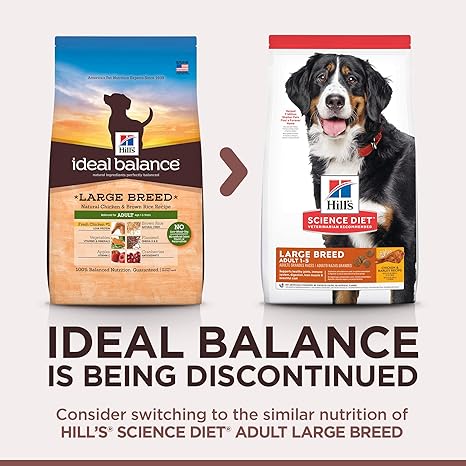ideal balance large breed