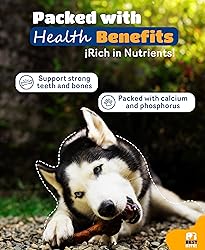 Best Bite! 6" Pig Femur Bones for Dogs