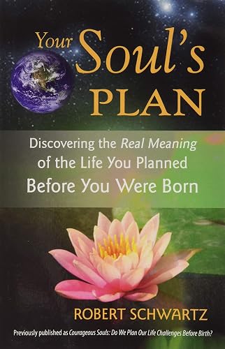 Download Your Soul's Plan: Discovering the Real Meaning of the Life You Planned Before You Were Born PDF