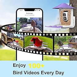 birdsnap® TUC- Smart Bird Feeder with Camera+Solar