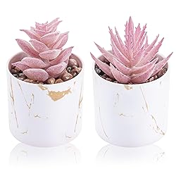 Der Rose Set of 2 Succulents Plants Artificial Mini