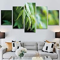 SIGNWIN 5 Panel Canvas Wall Art Modern Art Decorative Elements Expressive Leaves Multicolor Patterns Photography for Home Decorations Ready to Hang - 60