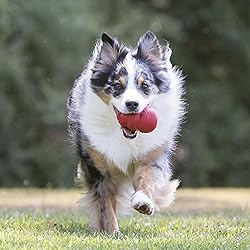 KONG Classic Stuffable Dog Toy - Fetch & Chew Toy