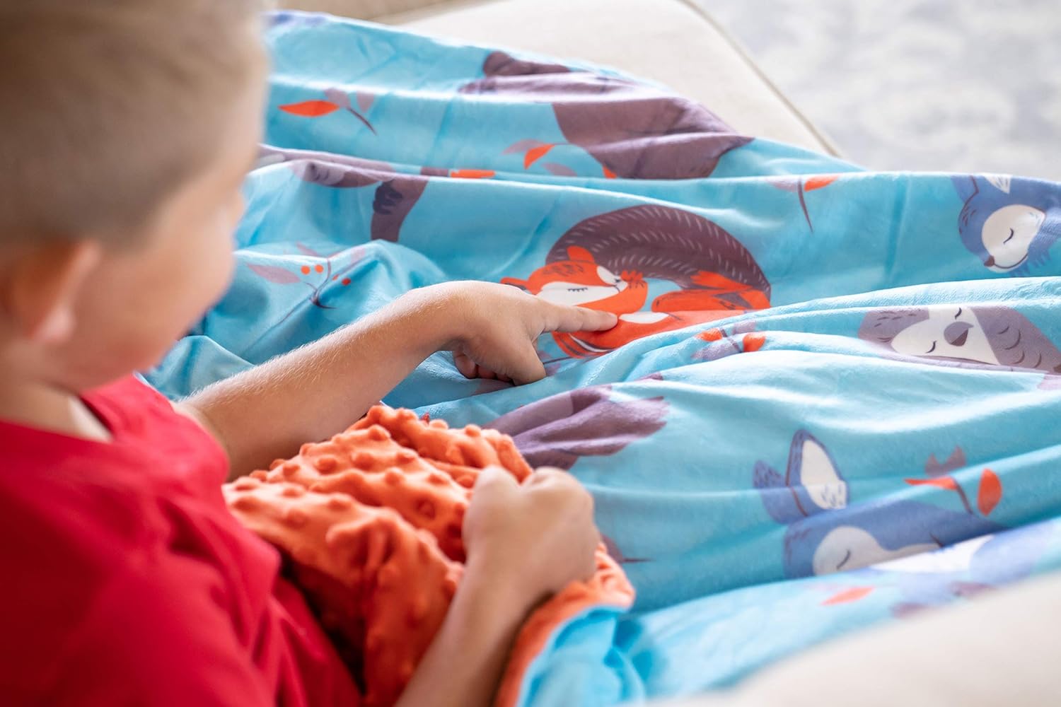 Warming and Cooling Weighted Comforter with Minky Cover 5lb, Sleepy