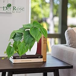 Der Rose 2Pcs Small Fake Plants Artificial Mini