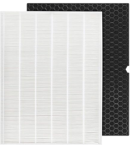 Amazon.com: HEPA Activated Carbon Filter 120540 120541 for