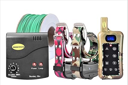 web attack rc tarantula